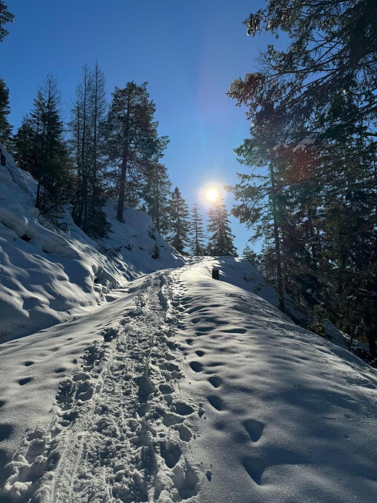 Alpenlandhaus Menardi Seefeld in Tirol Exterior foto