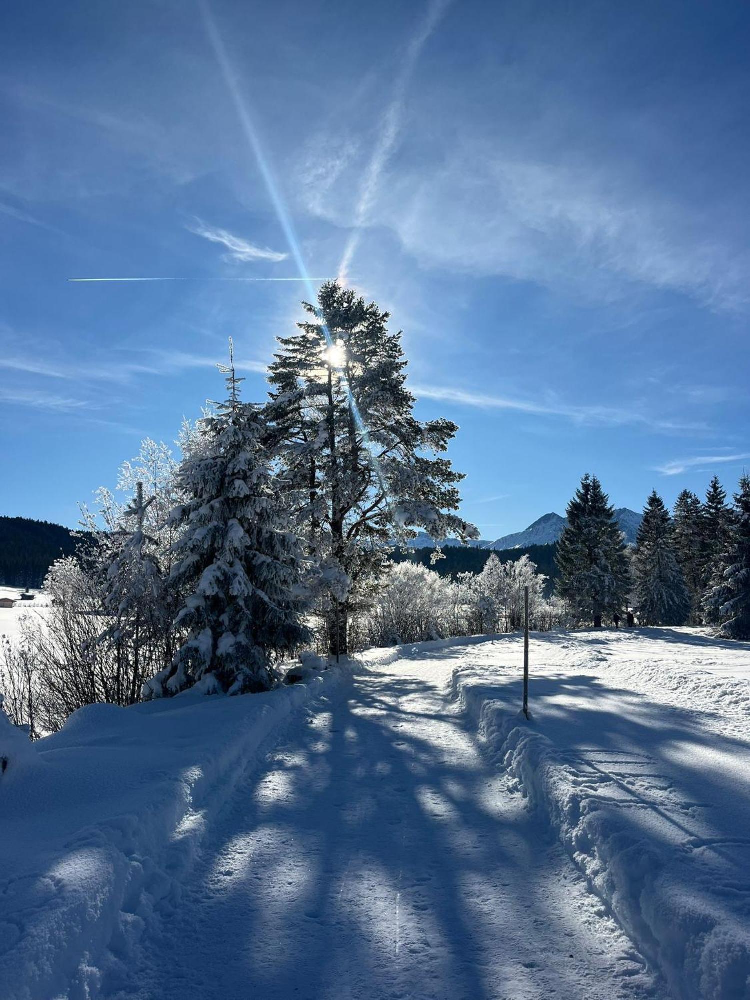Alpenlandhaus Menardi Seefeld in Tirol Exterior foto